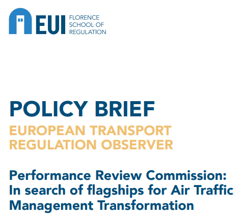 Policy Brief - Florence School of Regulation Observer
